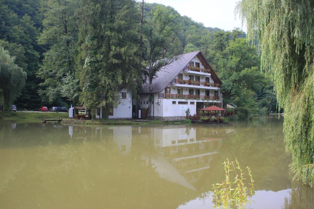 Guest House Lacul Linistit Моняса Номер фото