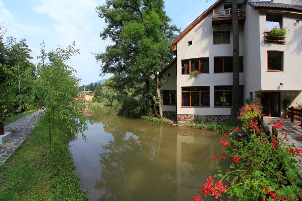 Guest House Lacul Linistit Моняса Екстер'єр фото